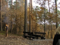 Widok od strony kuchni