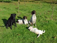 ... może wreszcie te ciotki sie ruszą