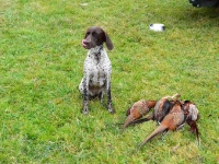 Zlizuje resztki wody z fafli