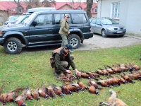 Spóźnialscy donoszą kolejne pęki kogutów