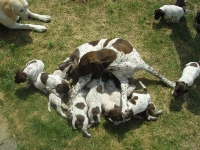 Już nie mieścimy sie przy matce