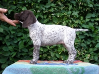 Prezentacja - mała Flora