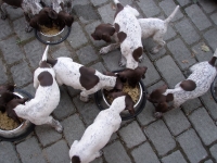 Ulubiony czas karmienia