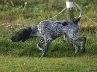 Hummer w wieku 6 miesięcy