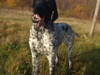 Hummer w wieku 6 miesięcy