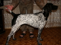 Mieszkająca w Rosji Huba w wieku 8 miesięcy