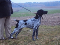 Hebe w wieku 6 miesięcy