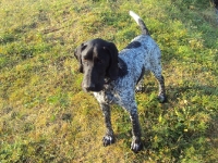 Hebe w wieku 6 miesięcy