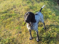 Hebe w wieku 6 miesięcy