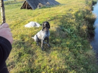 Z aportem też nieźle