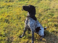 Hebe 6 miesięcy - chcę pracować