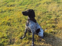 Hebe 6 miesięcy - chcę pracować