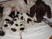 Pierwszy dzień życia