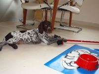 Hunter w nowym i pięknym świecie - 10 tydzień