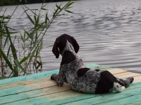 Hunter w nowym i pięknym świecie - 10 tydzień