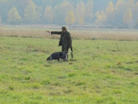 Rusza następny