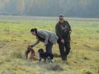 Ostatecznie kogut trafia w ręce prowadzącej