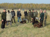 Chwila przerwy przed następną konkurencją, włóczką królika