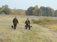 Ruszają do pracy w szuwarze