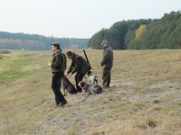 Pokaz pracy za żywą kaczką w wykonaniu fouska Kazimierza