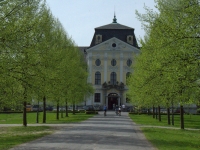 Aleja prowadząca do zamku i na wystawę