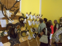 Wszystkie trofea szczegółowo opisane