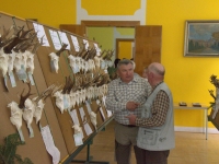 Parostki z różnych obwodów okręgu