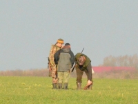 ... a tutaj dyskusja przy pięknie kulą i w pełnym biegu strzelonym lisie. Pytanie czyją kulą??