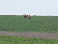 Nadciąga nagonka