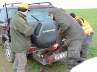 Ostatecznie przyjęto taką wersję