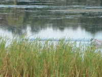 Wydaje się, że finał tuż, tuż ...