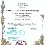 Dyplom VII Międzynarodowy Konkurs Pracy Sokołów Małopolski