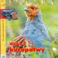 Porozmawiajmy poważnie o kuropatwie – i nie tylko o niej