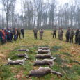 Tradycyjnie w listopadzie, moje koło poluje metodą szwedzką w Lesie Baranowickim na grubego zwierza i drapieżniki. Łowisko jest bogate w zwierzynę a rozkłady w przeszłości bywały wręcz imponujące, stąd chętnych [&hellip;]