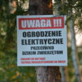 Nie mogąc się doczekać początku sezonu na kaczki, wybrałem się na przegląd naszych stawów aby zobaczyć „co w trawie, przed sezonem piszczy”. To co zobaczyłem, na zdjęciach. Moim zdaniem, sezon [&hellip;]