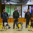 W Europie jest kilka bardzo prestiżowych konkursów wyżłów wszechstronnych, a wśród nich z pewnością znajduje się Memoriał imienia Kolomana Slimaka na Słowacji. Kolejna, już 26 edycja memoriału poświęconemu pamięci wybitnego [&hellip;]